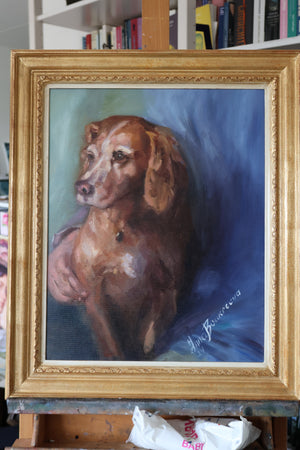 Hondje trouwe vriend